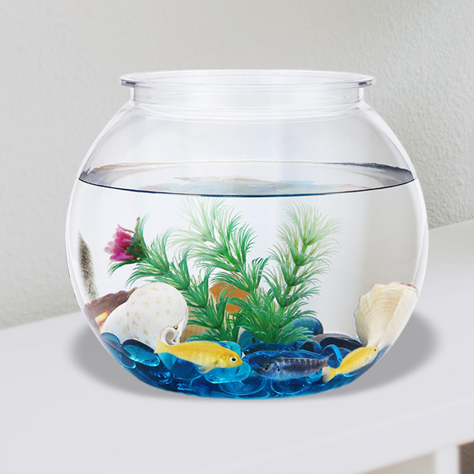 Planted Aquarium Bowl - Pecera pequeña transparente, pecera decorativa DIY,