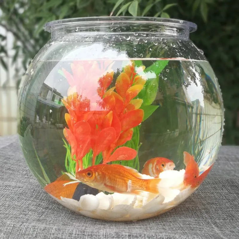 Planted Aquarium Bowl - Pecera de plástico transparente para acuario,