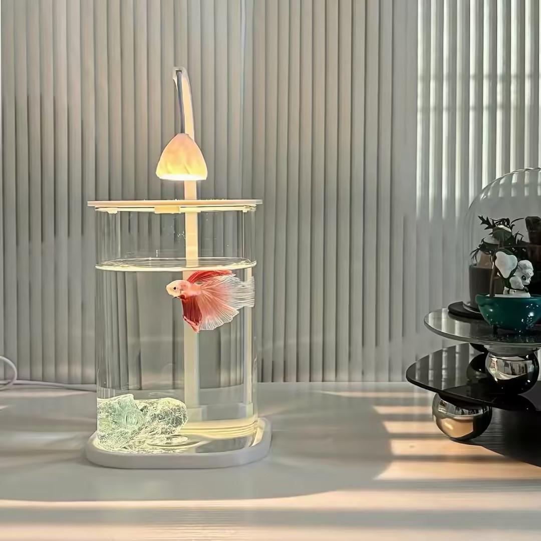 Planted Aquarium For Betta - 360 ° Pecera Panorámica Transparente de
