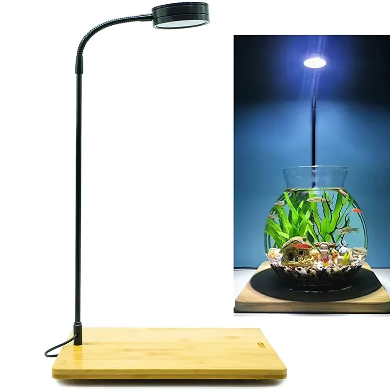 Planted Aquarium For Betta - Luz LED de Espectro Completo con