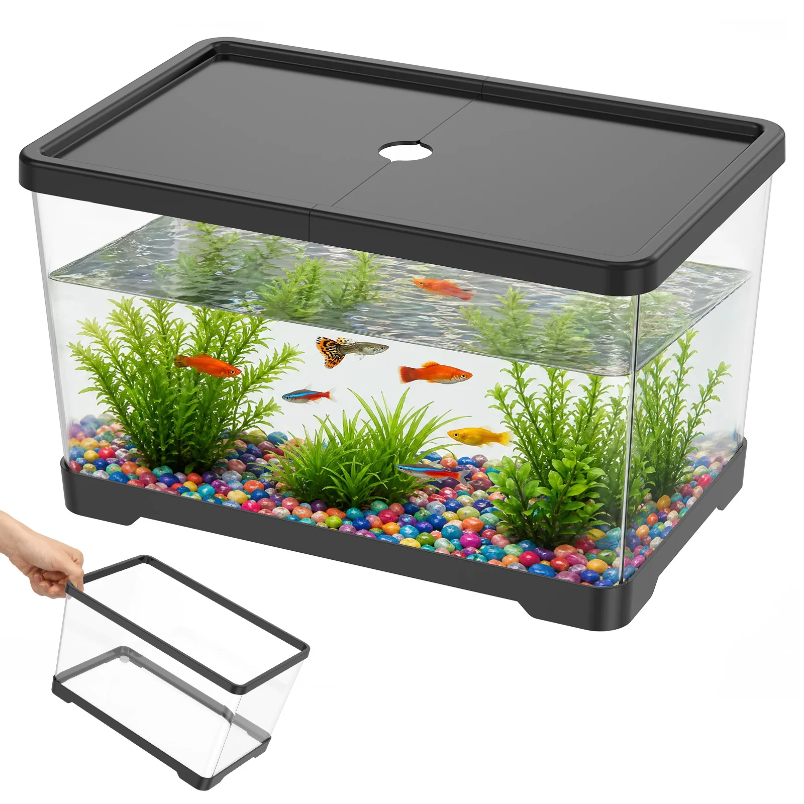 Planted Aquarium Bowl - Acuario transparente con tapa, rectangular, para