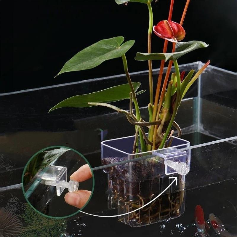Aquarium Plant Easy To Grow - Soporte Transparente para Plantas de Acuario,