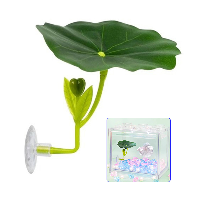 Planted Aquarium For Betta - Hamaca de hoja verde para peces