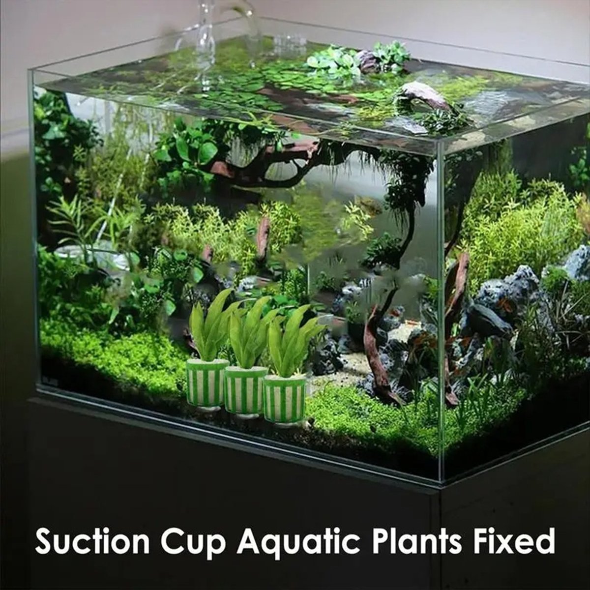 Planted Aquarium Tool Kit - ABNQ Soporte Fijo para Plantas Acuáticas,
