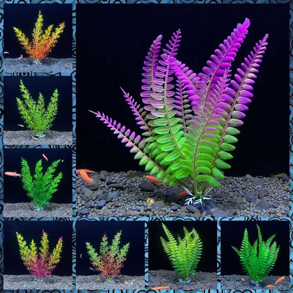 Adorno para pecera, planta de  - Planted Aquarium Bowl reseña y precio