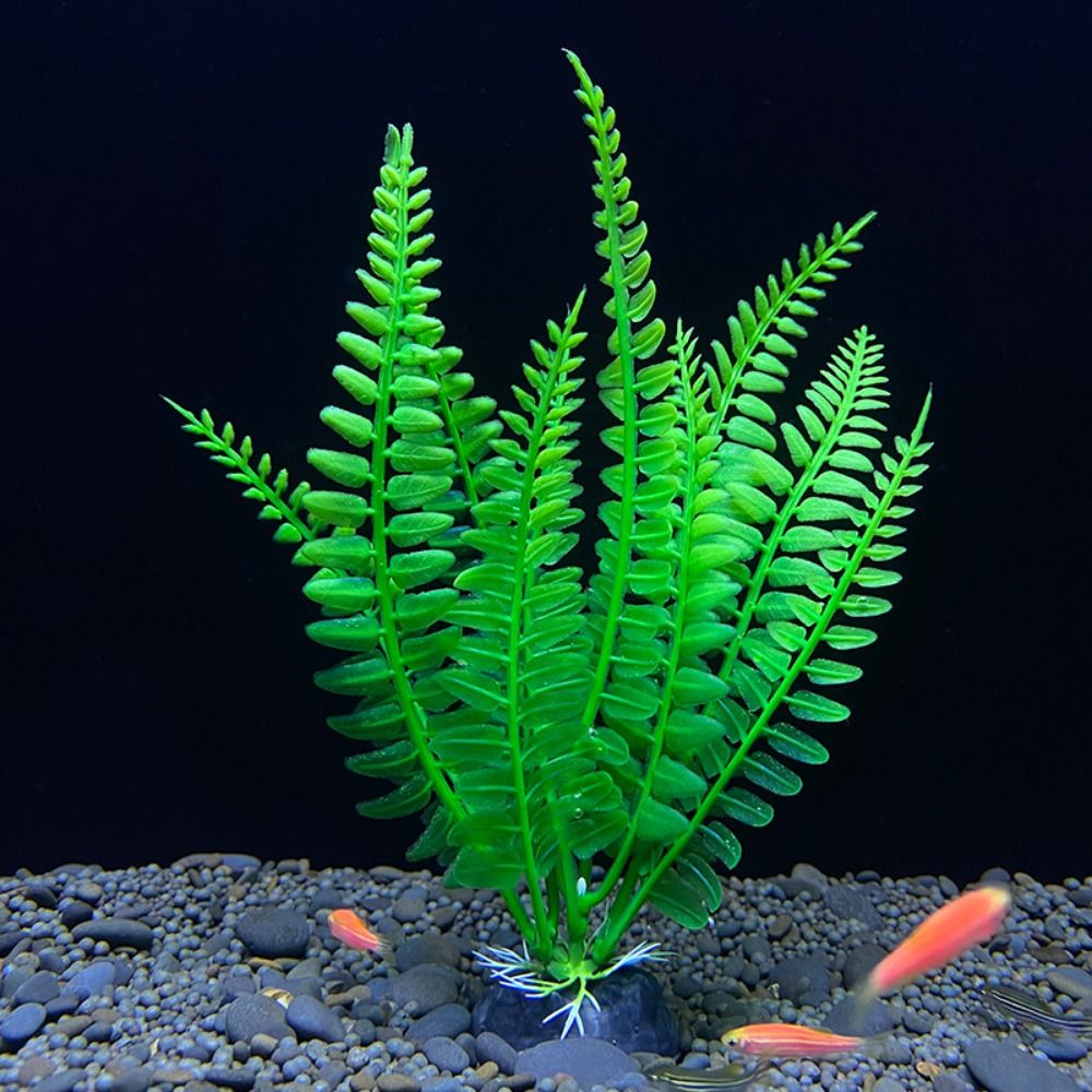 Adorno para pecera, planta de  - Planted Aquarium Bowl reseña y precio