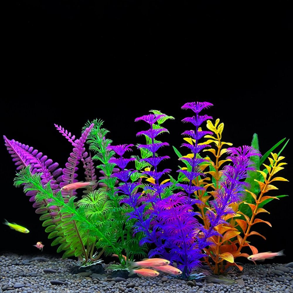 Adorno para pecera, planta de  - Planted Aquarium Bowl reseña y precio