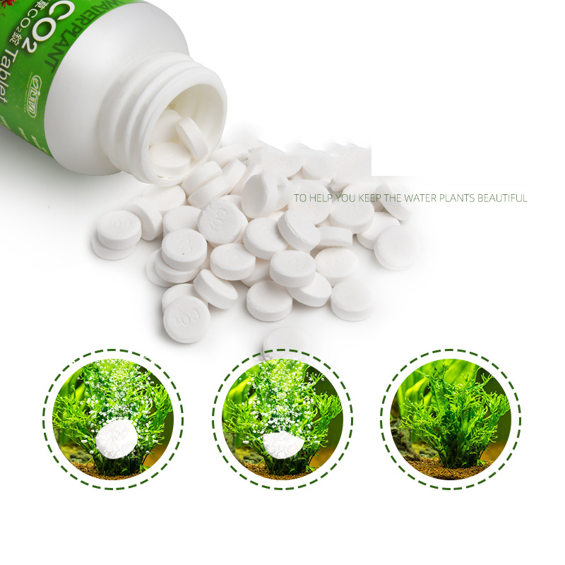 ISTA-Tableta de CO2 para acuar - Planted Aquarium Without Co2 reseña y precio