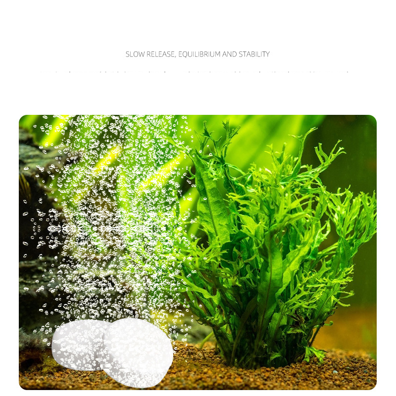 ISTA-Tableta de CO2 para acuar - Planted Aquarium Without Co2 reseña y precio