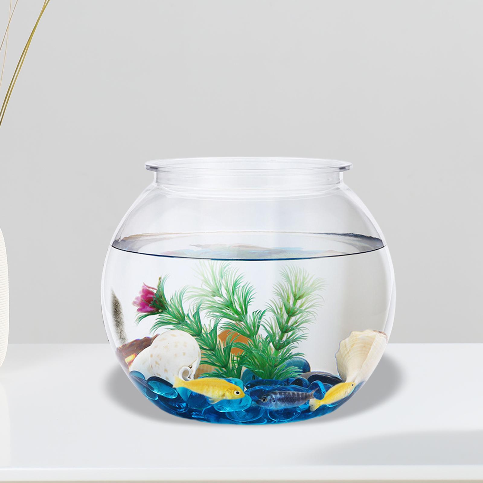 Pecera pequeña transparente, p - Planted Aquarium Bowl reseña y precio