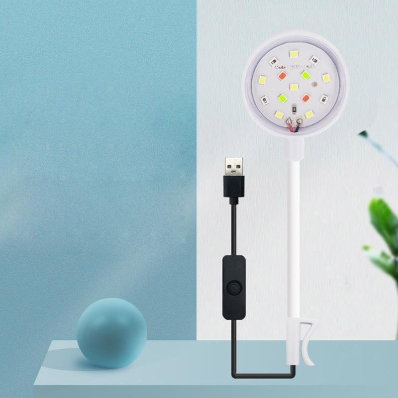 pequeña luz del tanque peces d - Planted Aquarium Bowl reseña y precio