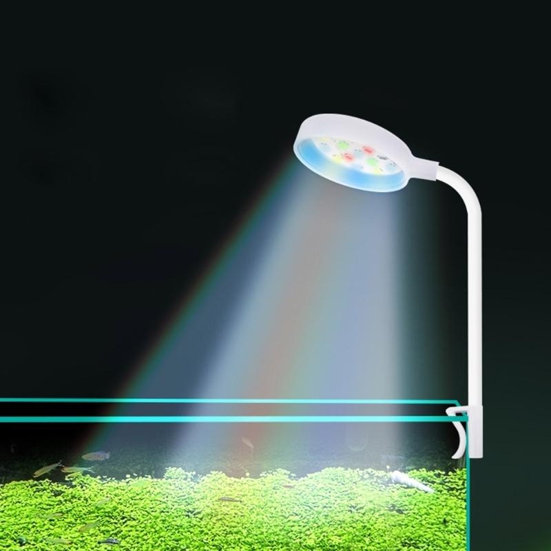 pequeña luz del tanque peces d - Planted Aquarium Bowl reseña y precio