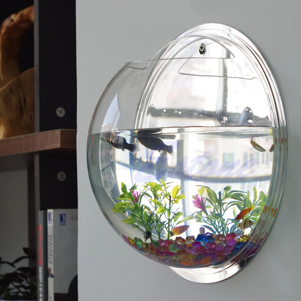 Pecera acrílica montada en la  - Planted Aquarium Bowl reseña y precio