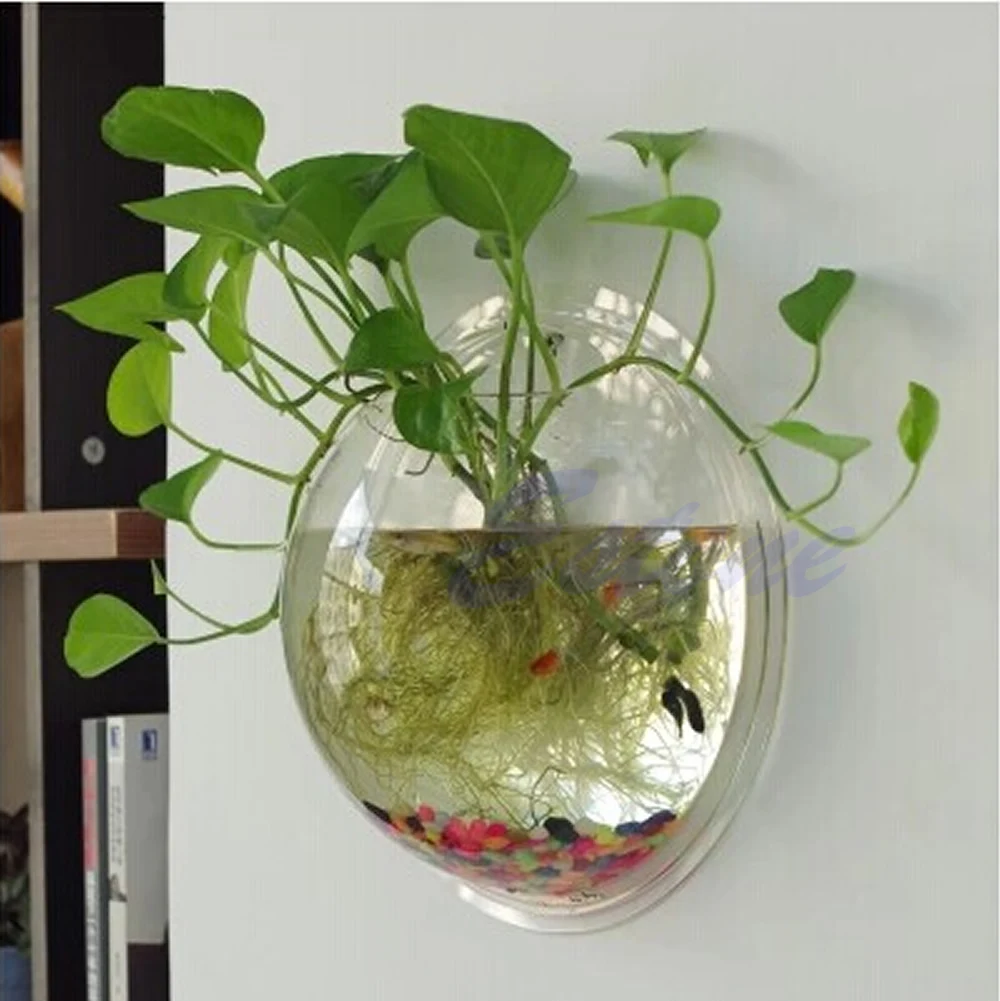 Pecera acrílica montada en la  - Planted Aquarium Bowl reseña y precio