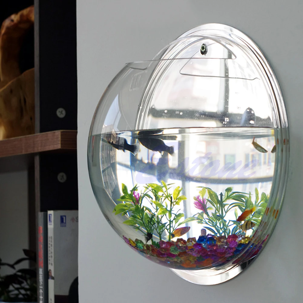 Pecera acrílica montada en la  - Planted Aquarium Bowl reseña y precio