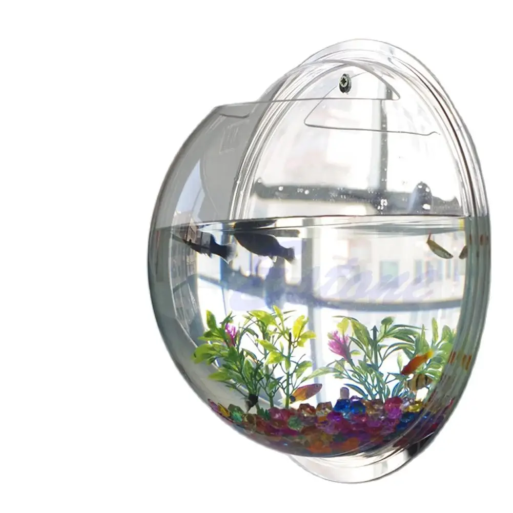 Pecera acrílica montada en la  - Planted Aquarium Bowl reseña y precio