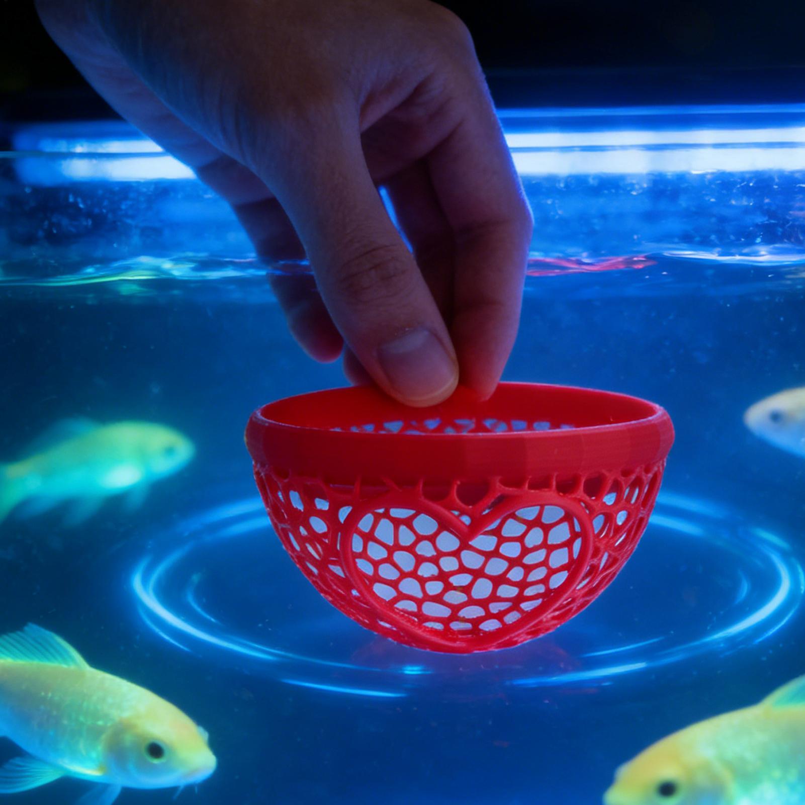 Refugio flotante para betta, h - Planted Aquarium For Betta reseña y precio