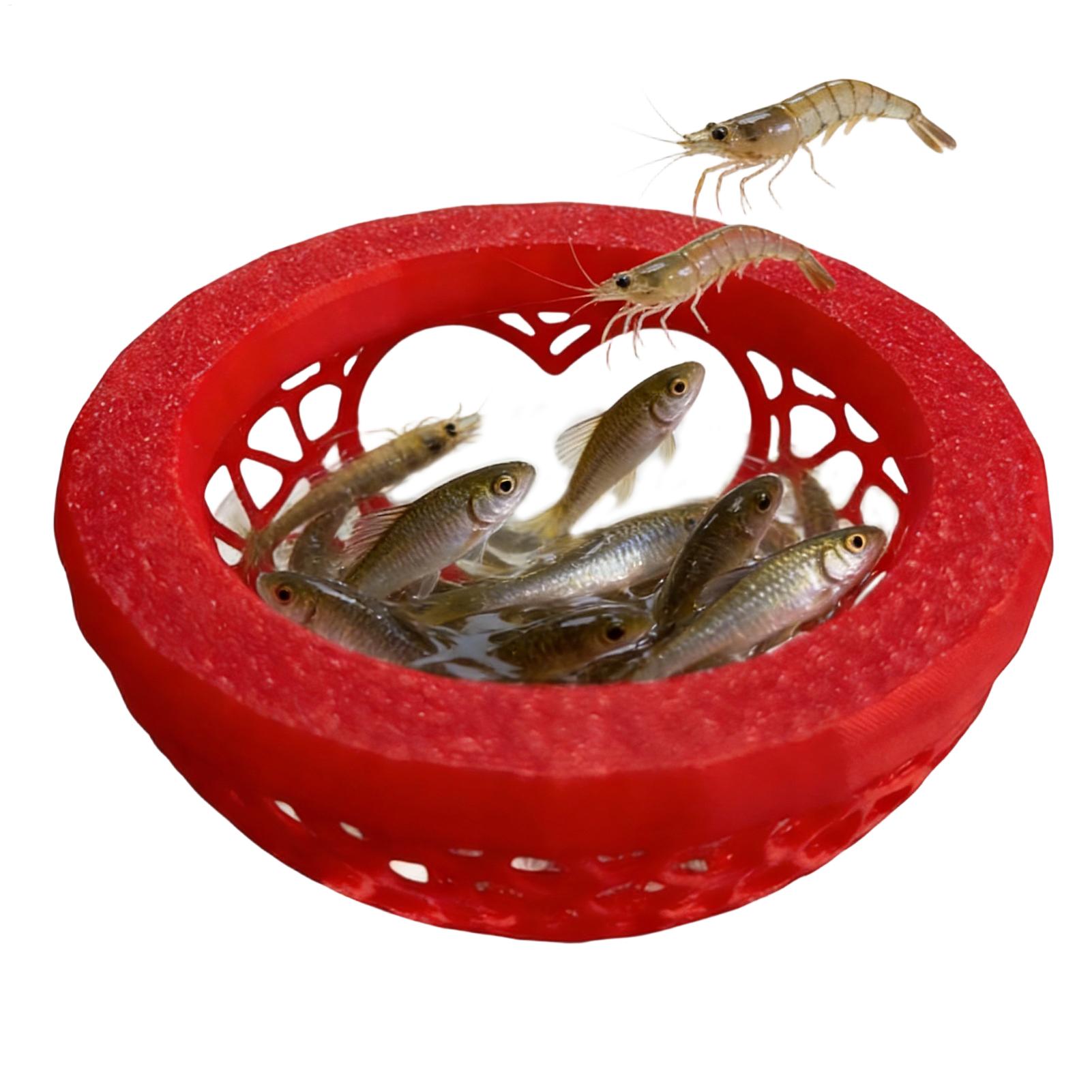 Refugio flotante para betta, h - Planted Aquarium For Betta reseña y precio