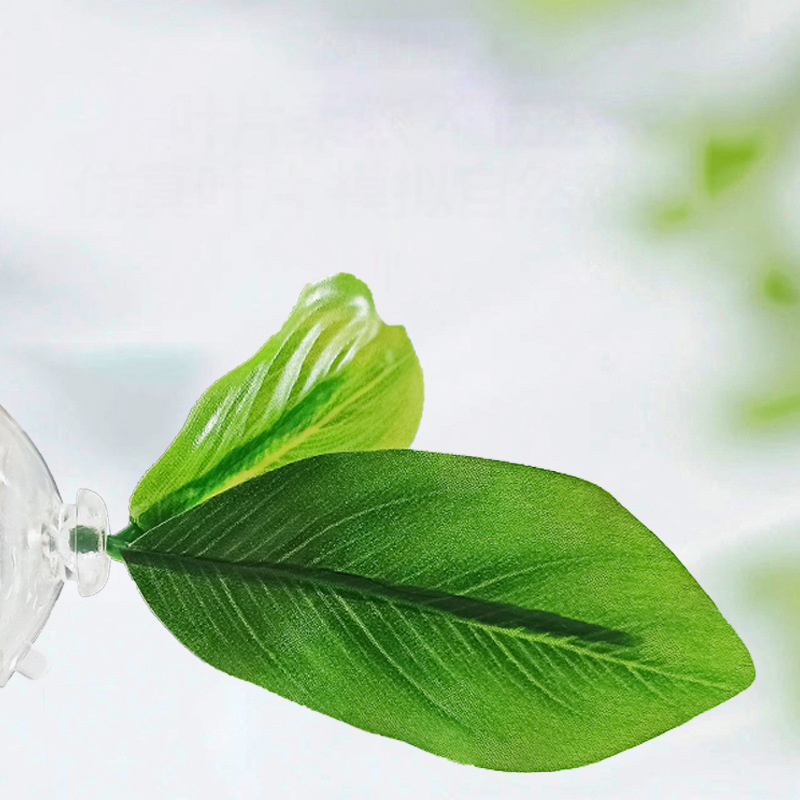 Hamaca de hoja verde para pece - Planted Aquarium For Betta reseña y precio