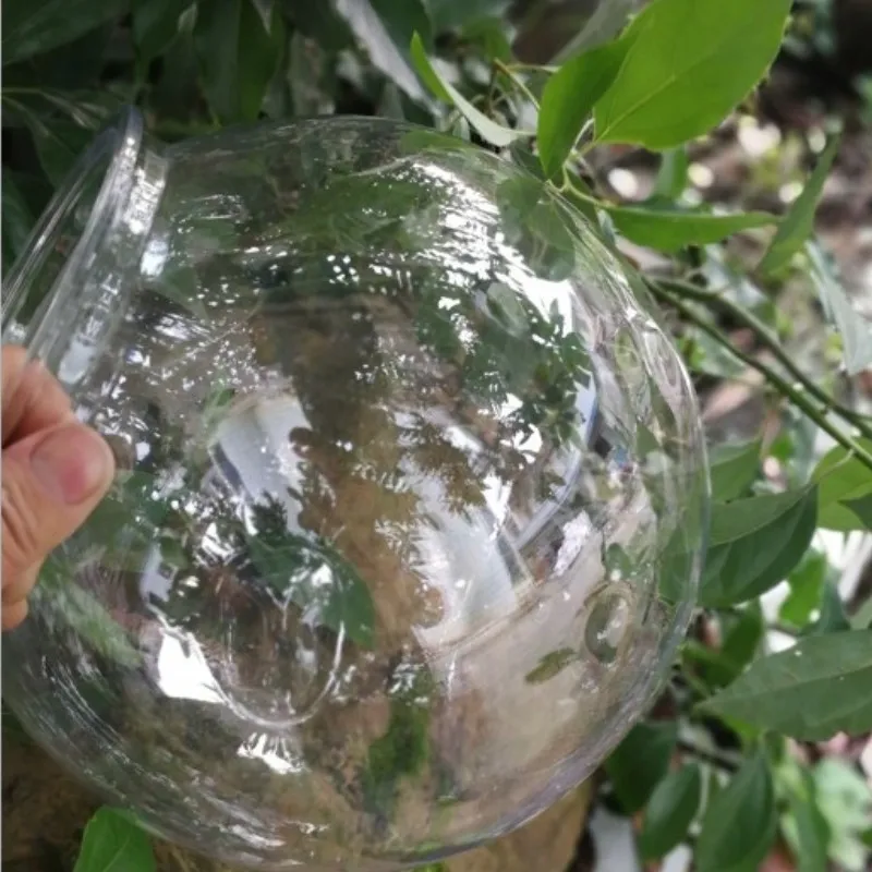 Pecera de plástico transparent - Planted Aquarium Bowl reseña y precio
