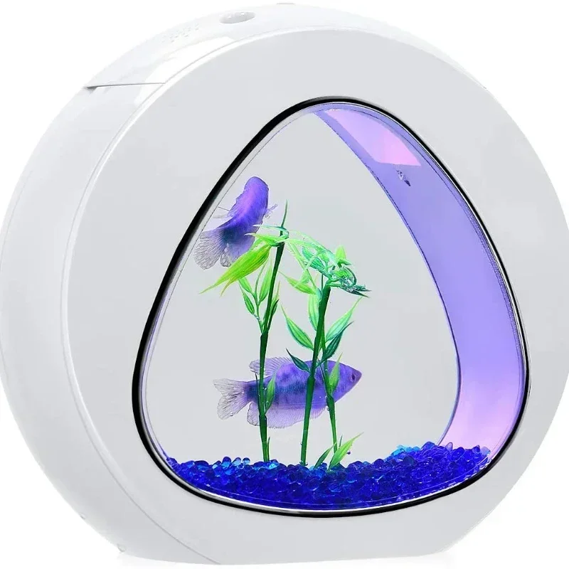 Pecera Betta, acuario de peces - Planted Aquarium Bowl reseña y precio
