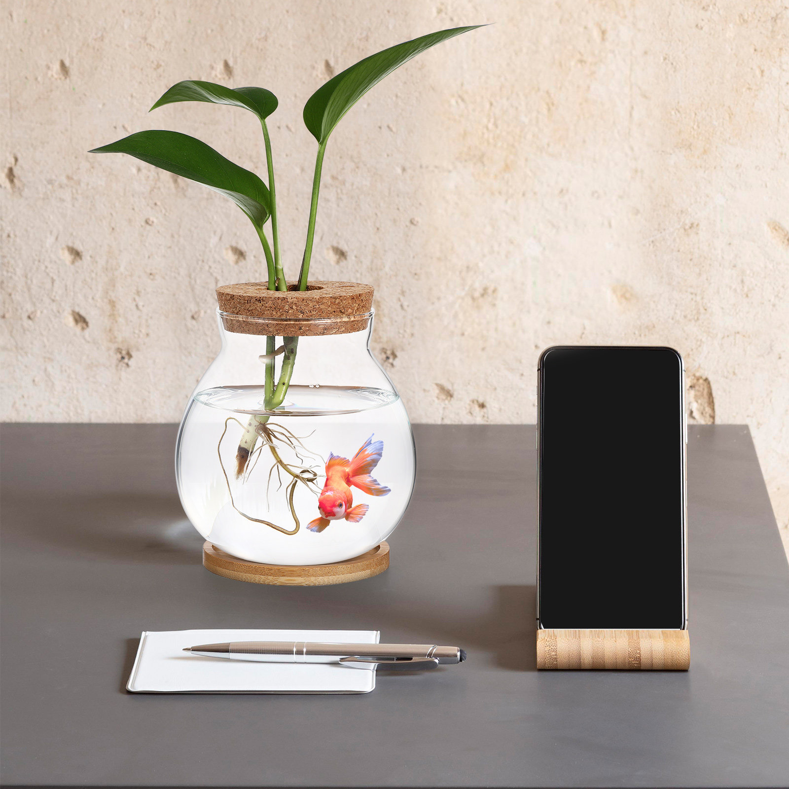 Pecera de Vidrio para Escritor - Planted Aquarium Bowl reseña y precio