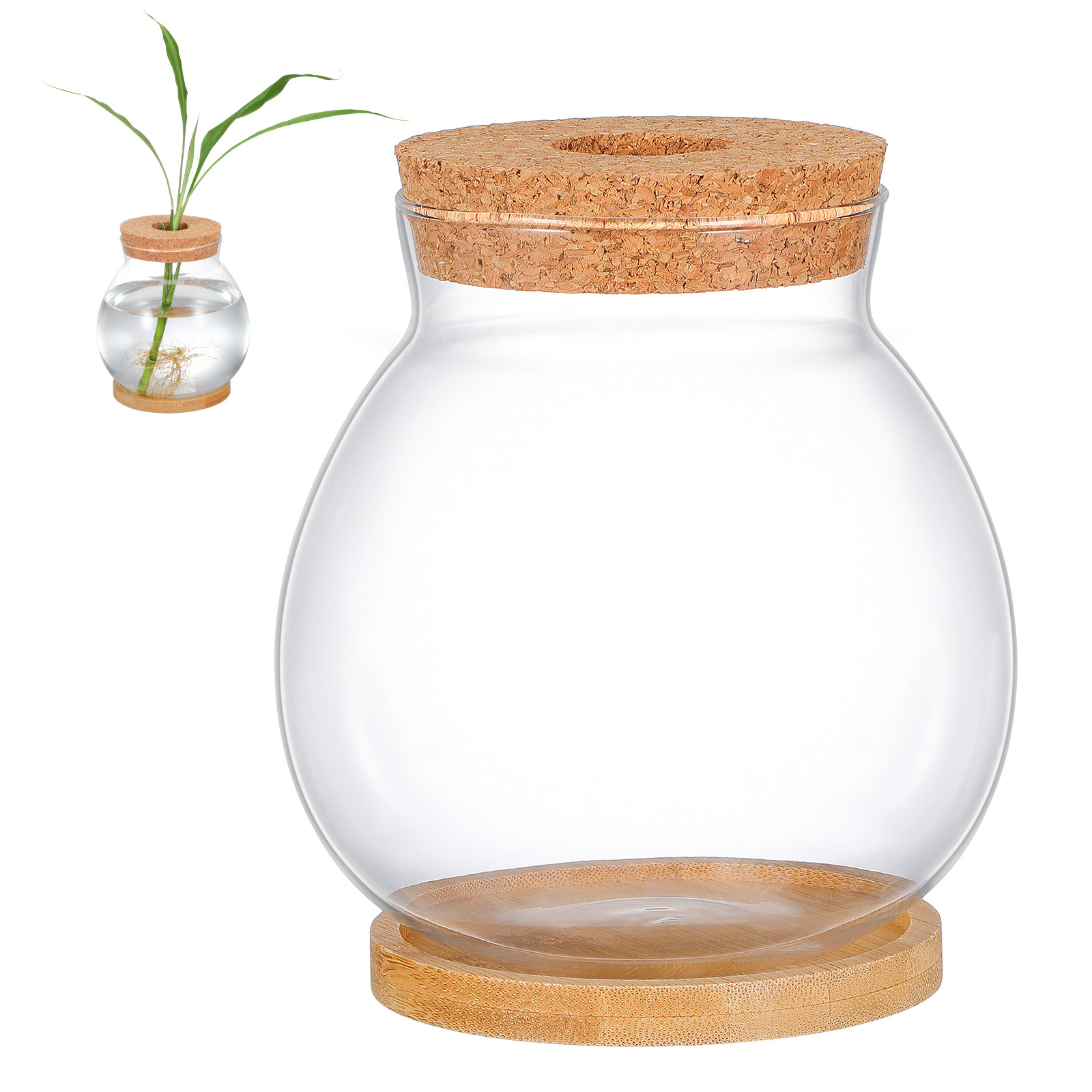 Pecera de Vidrio para Escritor - Planted Aquarium Bowl reseña y precio