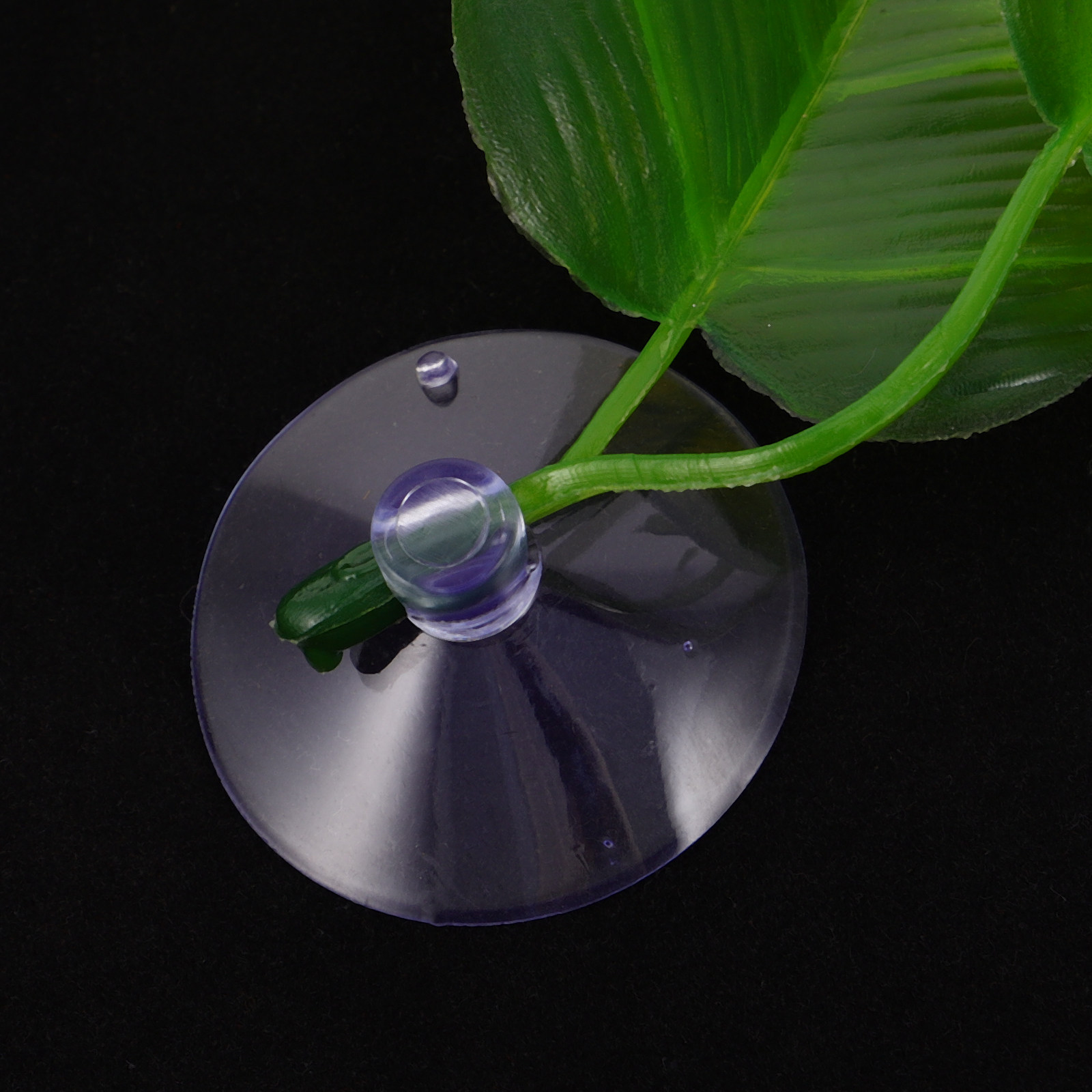 5 piezas de hojas artificiales - Planted Aquarium For Betta reseña y precio