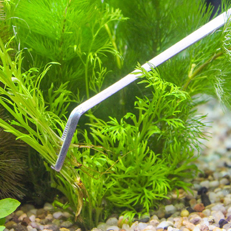 Kit de herramientas profesiona - Planted Aquarium Tool Kit reseña y precio