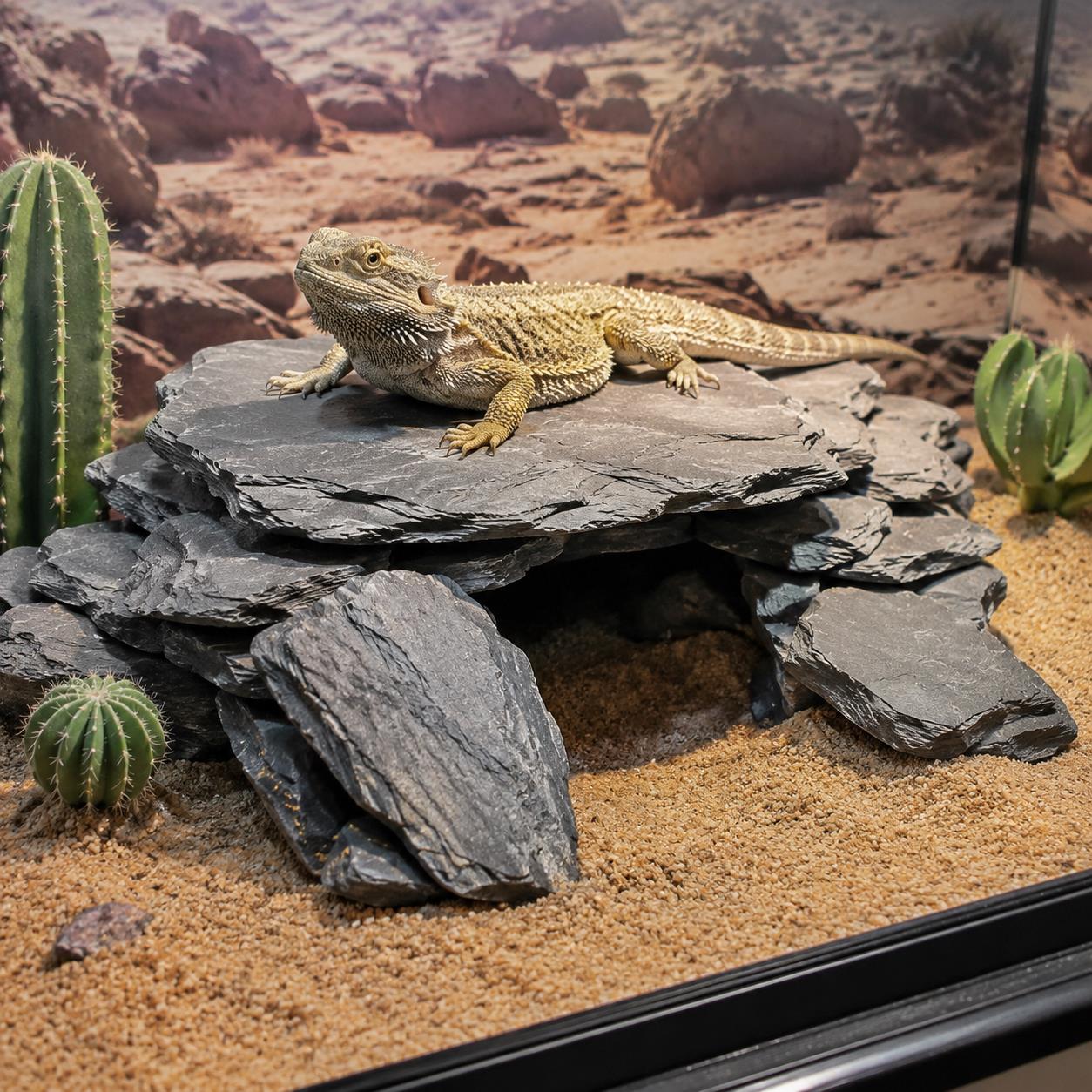 500g/1000g Virutas de Pizarra  - Planted Aquarium Hardscape reseña y precio
