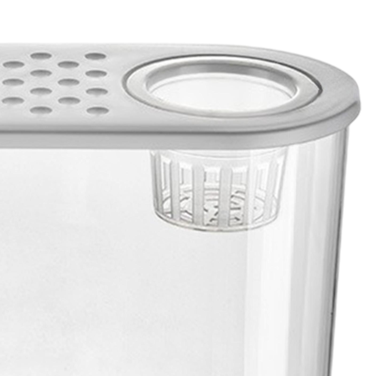Pecera de Escritorio para Ofic - Planted Aquarium Bowl reseña y precio
