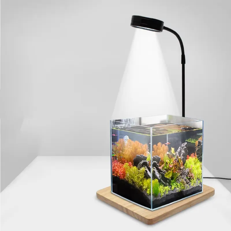 Luz LED de Espectro Completo c - Planted Aquarium For Betta reseña y precio