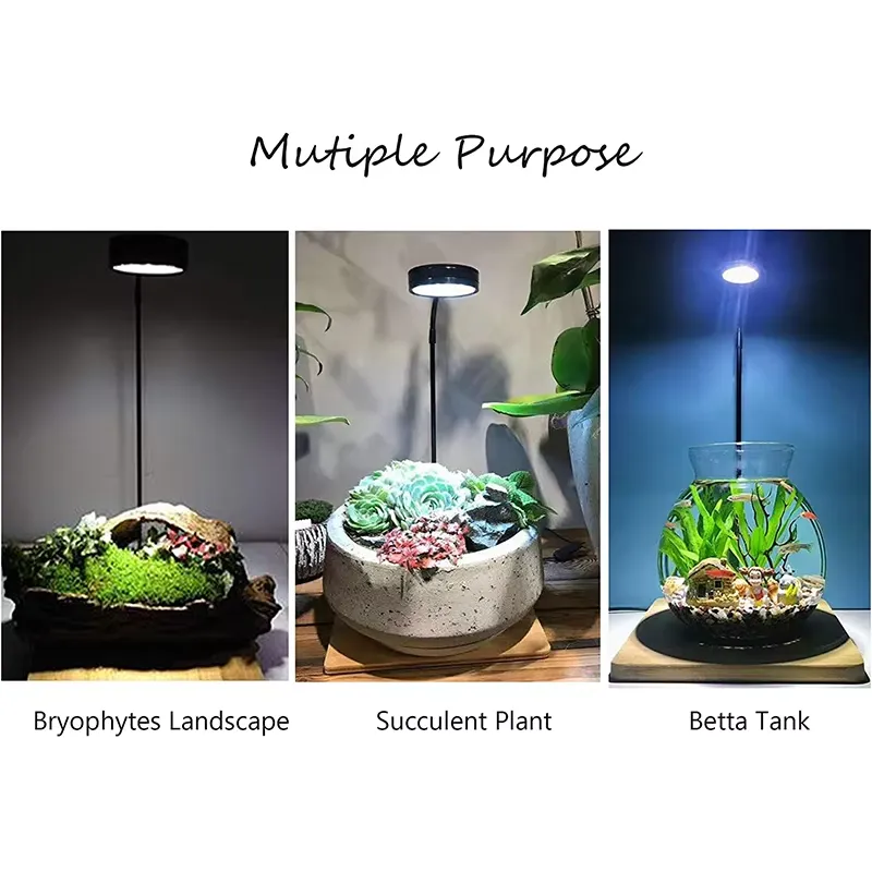 Luz LED de Espectro Completo c - Planted Aquarium For Betta reseña y precio