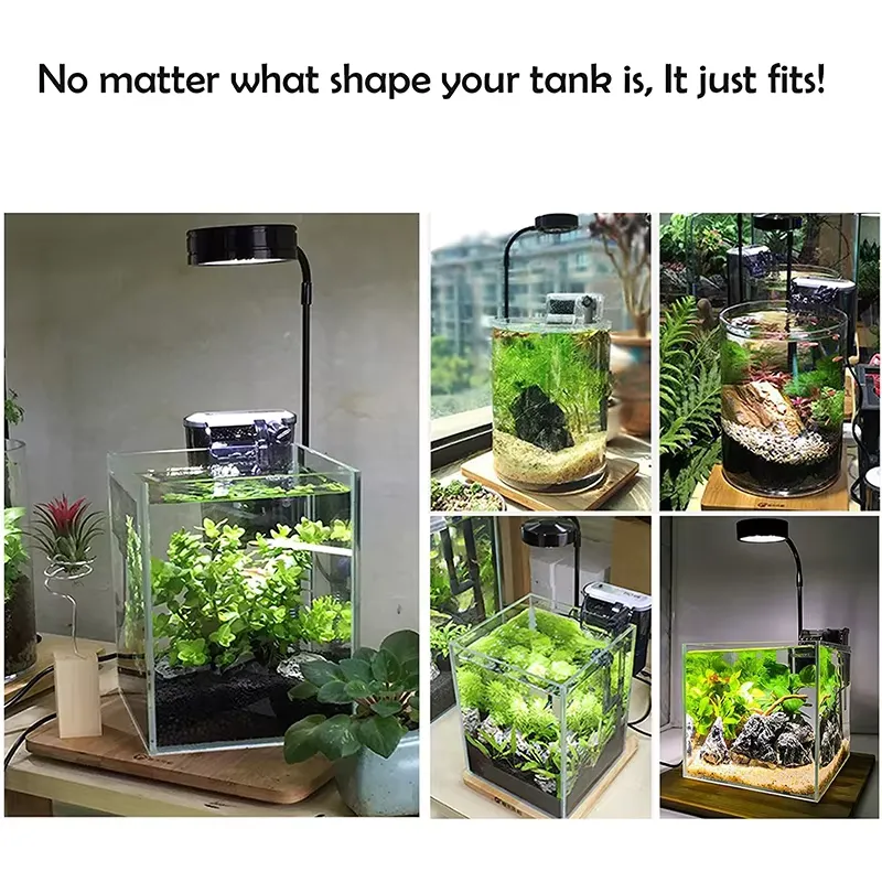 Luz LED de Espectro Completo c - Planted Aquarium For Betta reseña y precio
