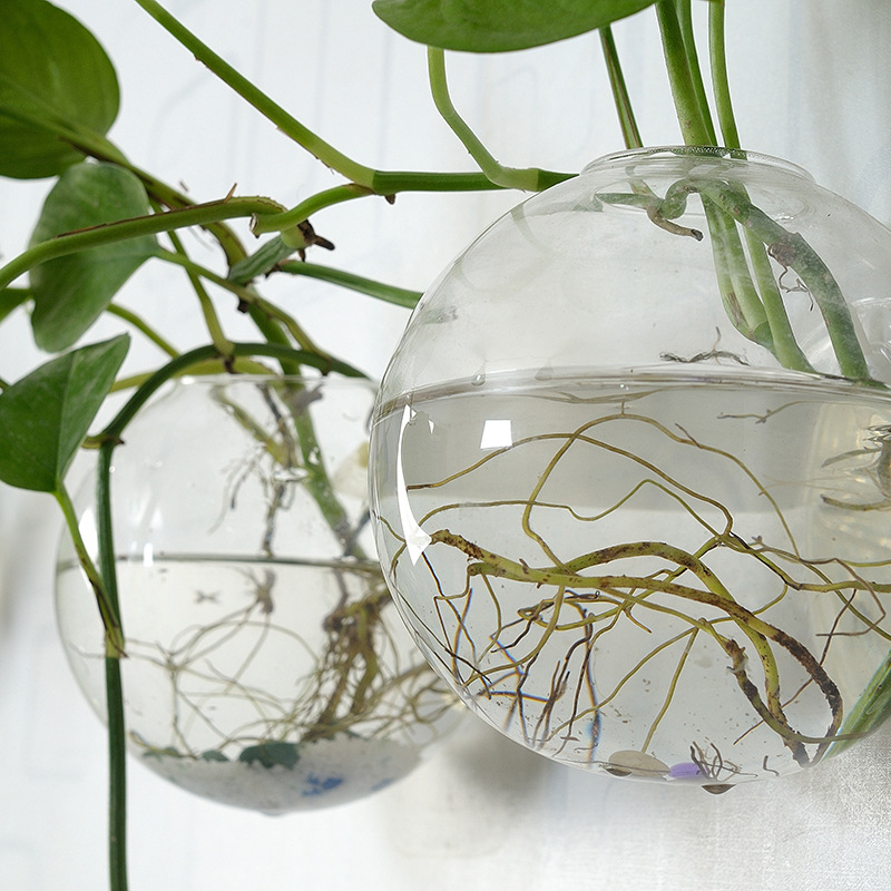 Pecera acrílica colgante de pa - Planted Aquarium Bowl reseña y precio