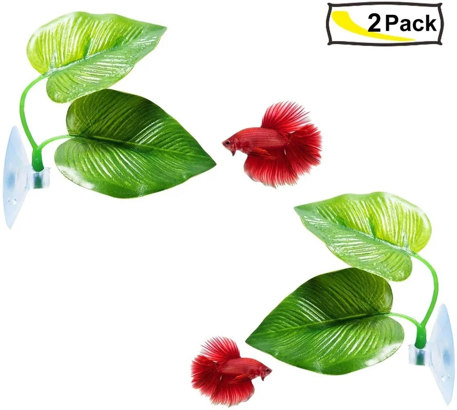 Hamaca de hojas de pescado Bet - Planted Aquarium For Betta reseña y precio