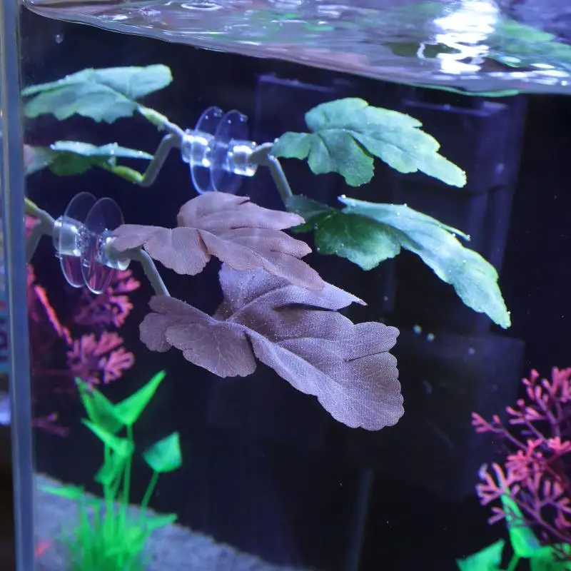 Hamaca de hojas de pescado Bet - Planted Aquarium For Betta reseña y precio