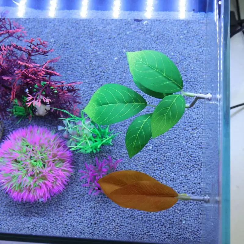 Hamaca de hojas de pescado Bet - Planted Aquarium For Betta reseña y precio