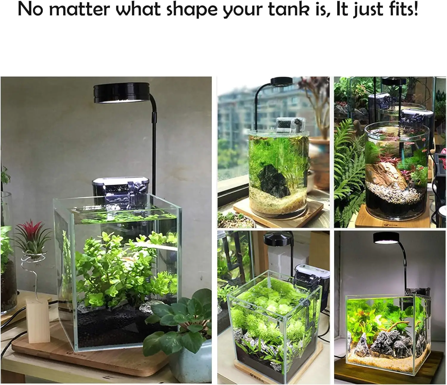 Luz LED para cultivo de acuari - Planted Aquarium For Betta reseña y precio