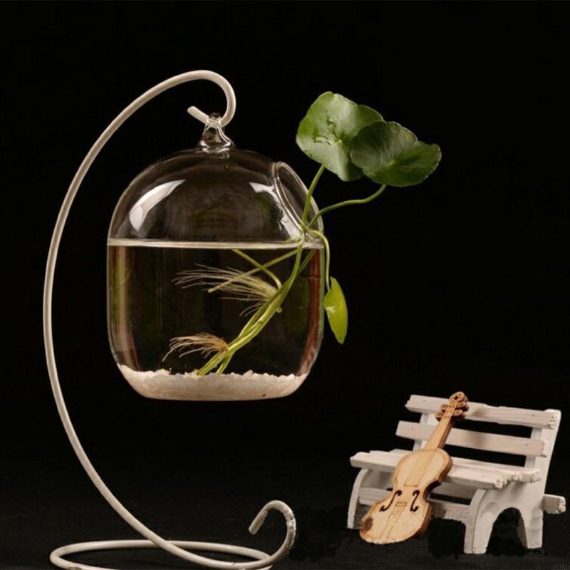 62kd Pescado vidrio colgante t - Planted Aquarium Bowl reseña y precio