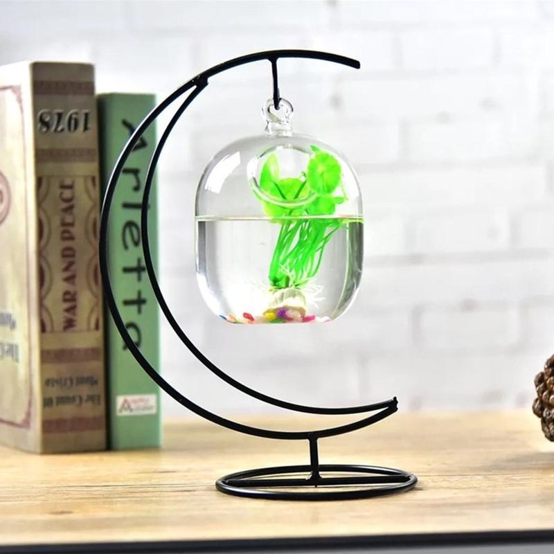 62kd Pescado vidrio colgante t - Planted Aquarium Bowl reseña y precio