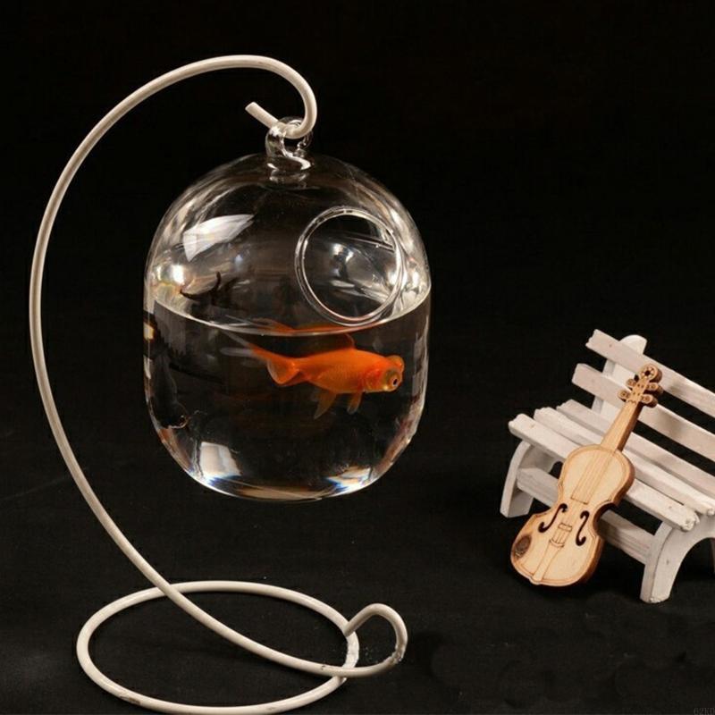 62kd Pescado vidrio colgante t - Planted Aquarium Bowl reseña y precio