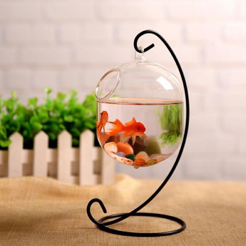 62kd Pescado vidrio colgante t - Planted Aquarium Bowl reseña y precio