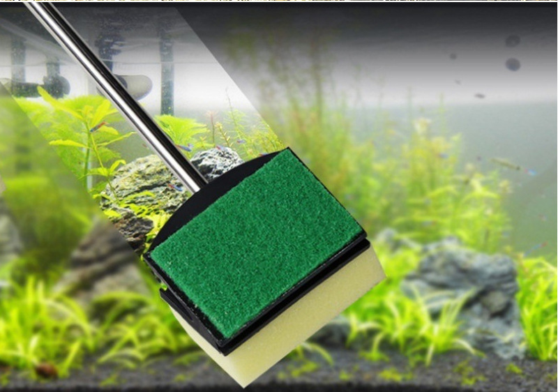 Pinzas para acuario de acero i - Planted Aquarium Tool Kit reseña y precio