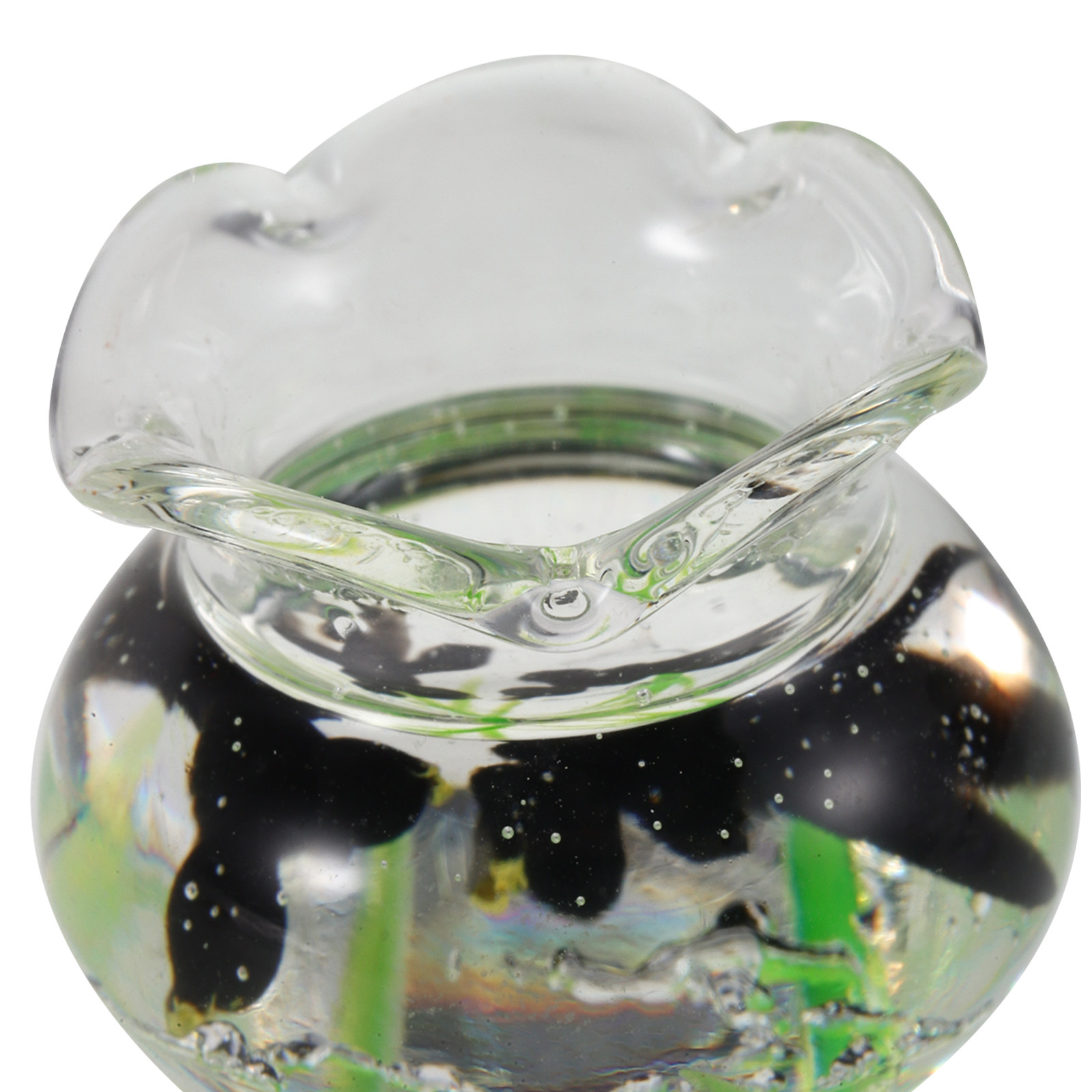 Mini Pecera de Resina, Pecera  - Planted Aquarium Bowl reseña y precio