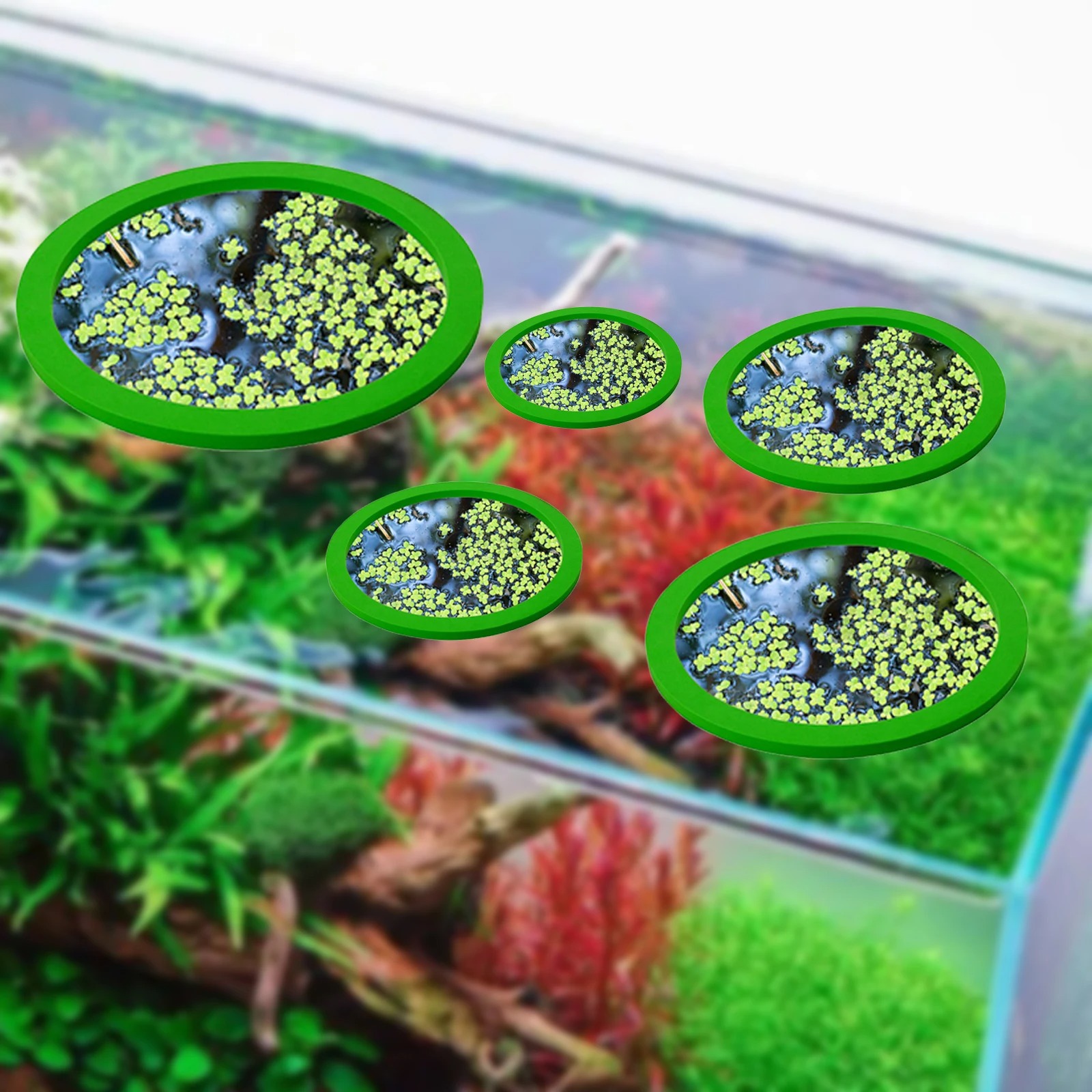 5 uds EVA anillo de alimentaci - Aquarium Plant reseña y precio