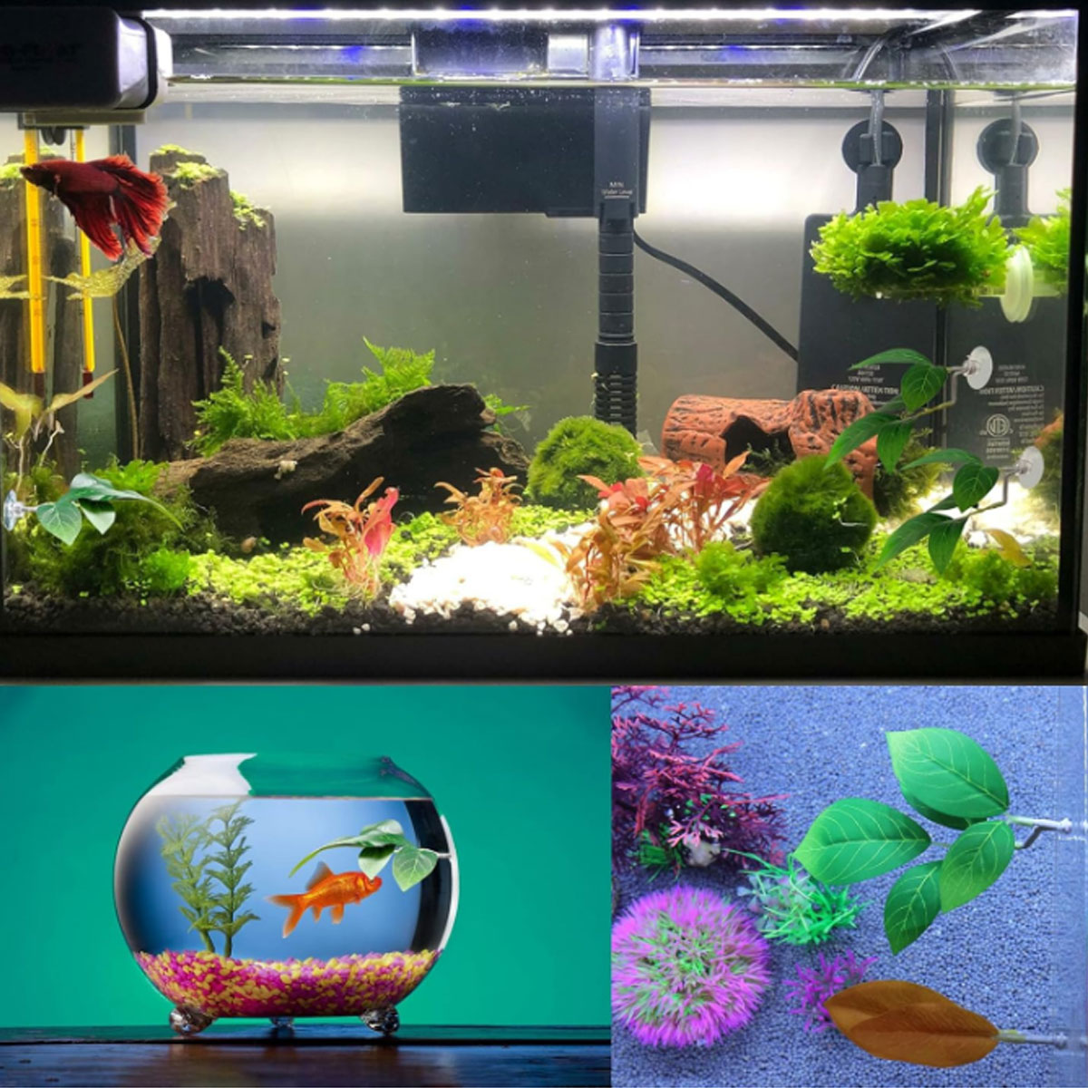 Hamaca para peces Betta, decor - Planted Aquarium For Betta reseña y precio