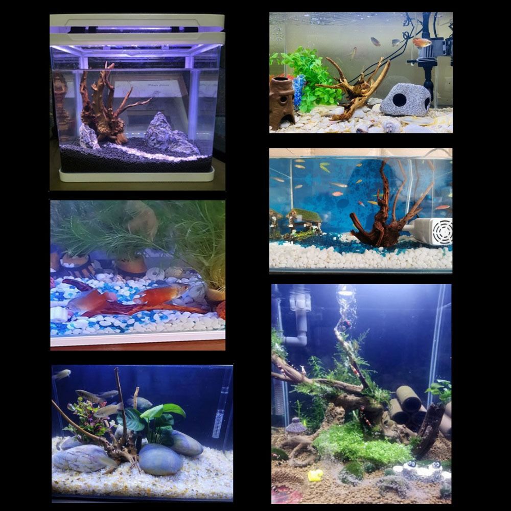 Tronco de Madera Natural para  - Planted Aquarium Bowl reseña y precio