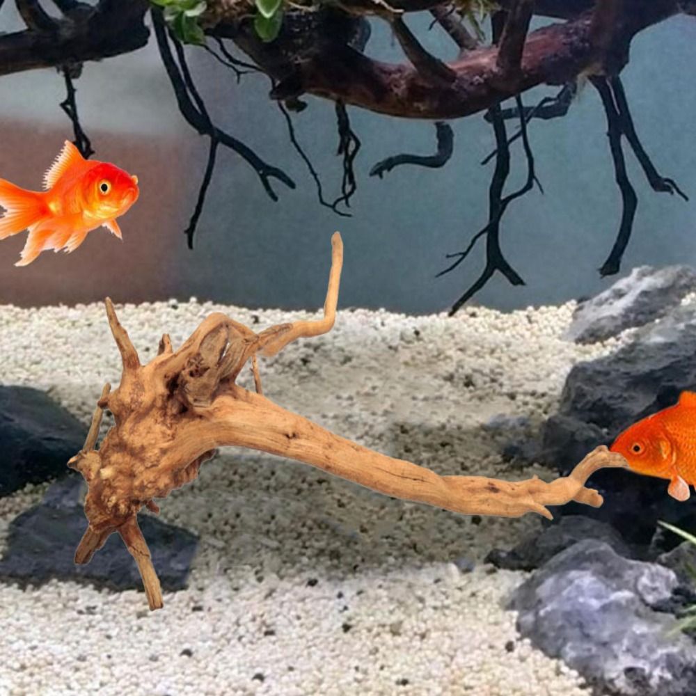 Tronco de Madera Natural para  - Planted Aquarium Bowl reseña y precio