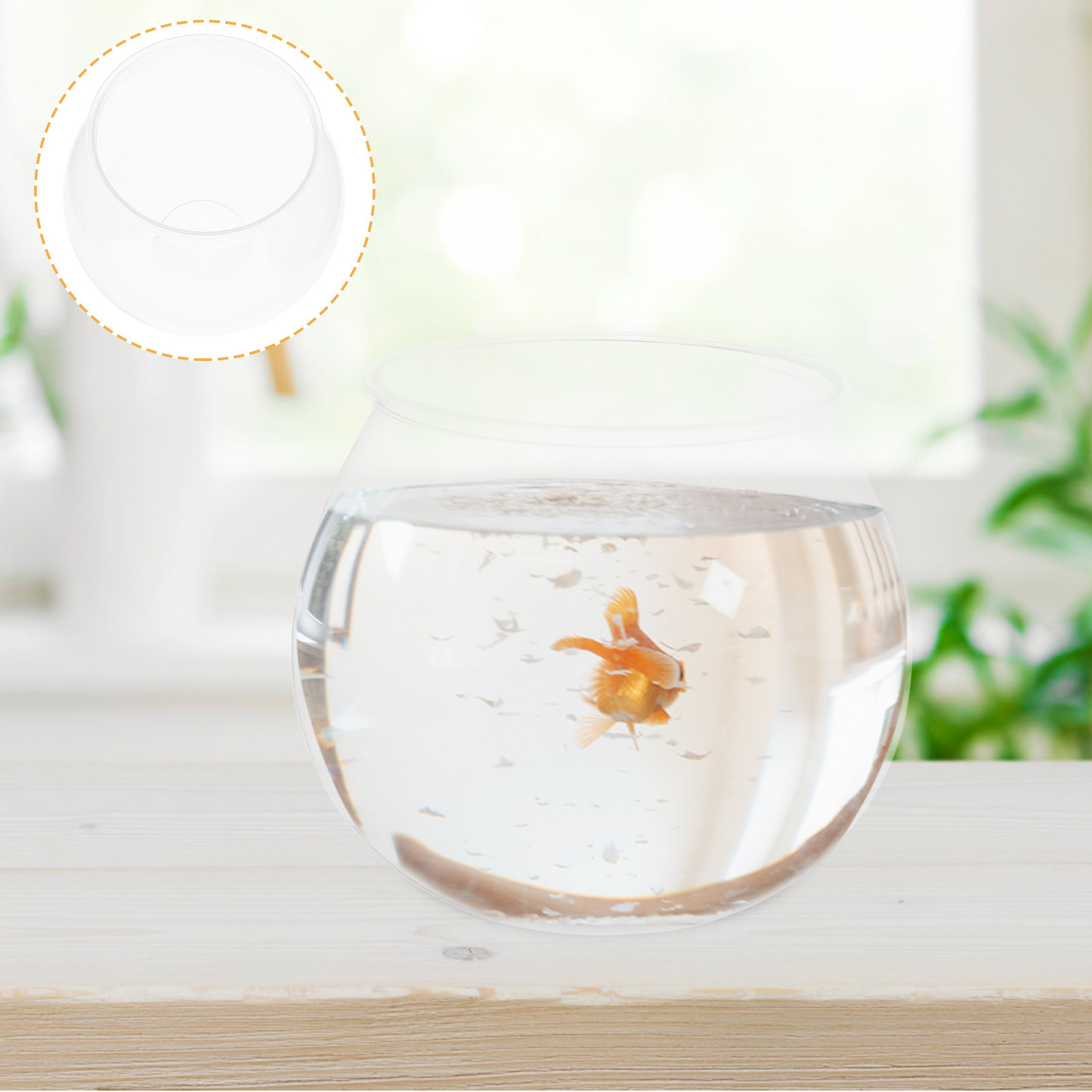 Mini pecera de plástico transp - Planted Aquarium Bowl reseña y precio